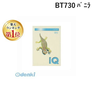 o yyVLO1ʊlzɓ BT730 oj oCIgbvJ[A4 250 BT730oj