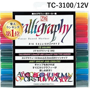 yyVLO1ʊlz| TC-3100/12V ZIGJOtB[II 12FZbg TC3100/12V WO y JOtB[p}[J[