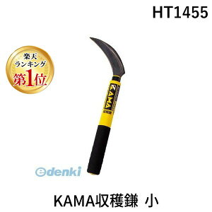 y12/5IIōő100|CgobNzzElLn HT1455 KAMAn  L ꗠڐn ق LR n te   