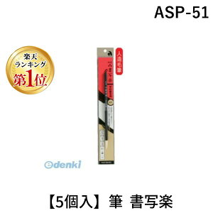 yyVLO1ʊlz ASP-51 y5zM ʊy ASP51 וM wZʗp M M