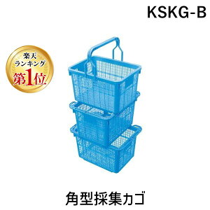 yyVLO1ʊlzDIC KSKG-B p^̏WJSKSKGB DICvX`bN j`GC e펑 fB[ACV[vX`bN DICp^̏WJSyLZsz