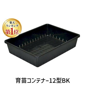 y݌ɌzyyVLO1ʊlzAbvEFA[ 4905980397088 cRei[12^BK ubN AbvEFA[cRei[ K[fjO ƒ؉