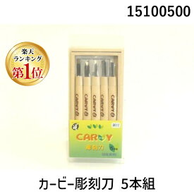 (LINEクーポン有)道刃物工業 15100500 カービー彫刻刀 5本組