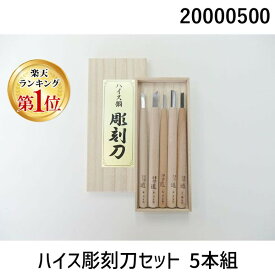 【楽天ランキング1位獲得】道刃物工業 20000500 ハイス彫刻刀セット 5本組
