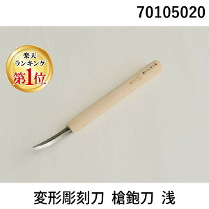 yyVLO1ʊlznH 70105020 ό`  