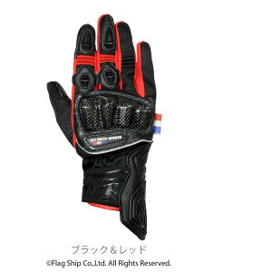Gt EG-S526/BK/RD/S Gt(ELF) EG-S526 \hbVO[u STCY ubN/bh EGS526BKRDS