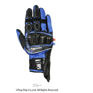 Gt EG-S526/BL/LL Gt(ELF) EG-S526 \hbVO[u LLTCY u[ EGS526BLLL