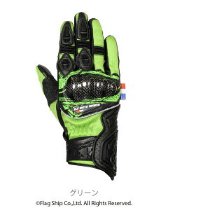 Gt EG-S526/GR/WL Gt(ELF) EG-S526 \hbVO[u WLTCY fB[XTCY O[ EGS526GRWL