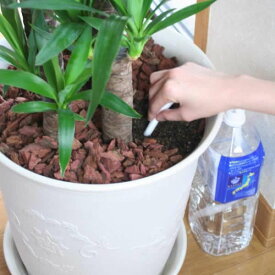 楽天市場 植木鉢 ペットボトルの通販 楽天市場 植木鉢 ペットボトルの通販