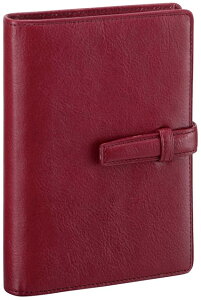 y11/25IIōő100|CgobNzCC DP3008Z _EJB` X^_[h VXe蒠 |Pbg C |PbgTCY X[p[CXU[ rWlXX^_[h