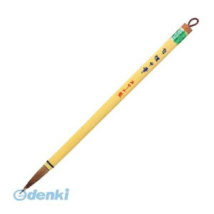  PM-100 y5zM KM PM100 M M pM pi pi