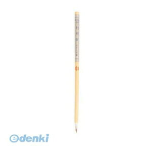  PN-13 y5zM nEG莆ppMyz PN13