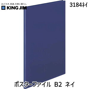 o LOW KIMG JIM 3184lC |X^[t@C B2 lC lCr[