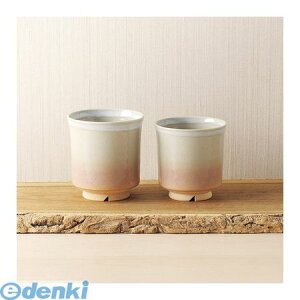 yF1z B1068619  sEs Pvw  g Mtg Ԃ j G j oYj