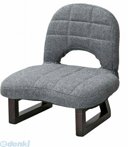 J LSS-23GY y6z sE[J[s wt֎q LSS23GY p[\i`FA wt X`[ rt ؐ O[