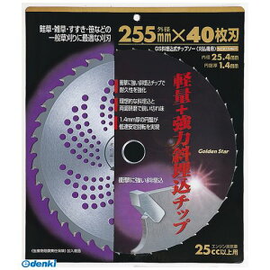 L{V 4951167214211 GS 210421 Ζ`bv\[ 255x36P GSΖ`bv\[  K[fjO | H _  _ƁyLZsz