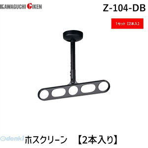 川口技研 Z-104-DB ホスクリーン Z104DB 【2本入り】 ダークブロンズ 軒天用ホスクリーン 物干し金物