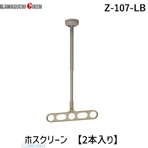 川口技研 Z-107-LB ホスクリーン Z107LB 【2本入り】 ライトブロンズ 軒天用 軒天用ホスクリーン
