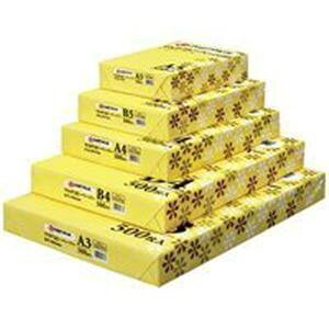 Es(Ɩp50Zbg) WCebNX Rs[y[p[/Rs[p yB5/ 500z A001Jʏi̓s