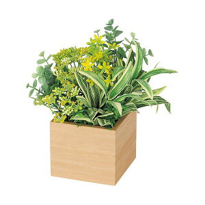 Es |bg ~j100p GR4381i` ʏi̓s