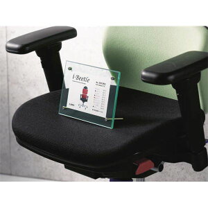 EsANt[ A6 AS-150Gʏi̓s