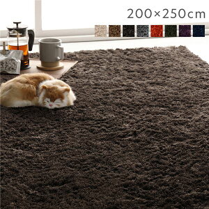 直送・代引不可ラグマット 絨毯 約200×250cm 約3畳 ブラウン 長方形 洗える 洗濯機対応 滑り止め付き 軽量 持ち運び便利 ホットカーペット対応 オールシーズン対応 折りたたみ収納可 シャギー