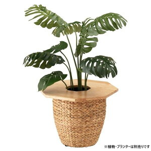 Es v^[e[u Pi np` 50×s50×1.8cm i` ؐ CeApi | ʏi̓s