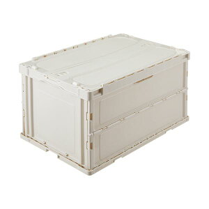 Es GR J[IR t^t 75L zCgO[ 560310WHTSU 1 ܂肽 Rei [ e IR ʏi̓s