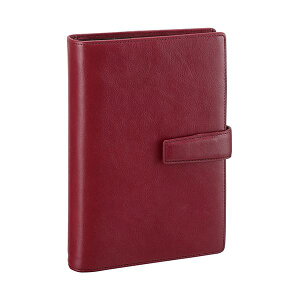 Es CC _B` VXe蒠 X^_[h iTCYj 24mm C DB3005Z ʏi̓s