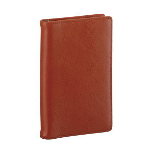 Es CC _B` VXe蒠 X^_[h iX|Pbgj 8mm uE JDP3009C ʏi̓s