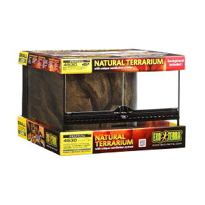 Es OXeE 4530 PT2603 (঒ޗpi) ʏi̓s