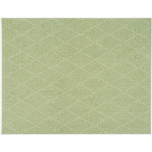 直送・代引不可 ラグ マット 絨毯 約幅185×長さ240cm グリーン 洗える 日本製 防ダニ 滑り止め加工 ホットカーペット可 スミノエ ポント【代引不可】 別商品の同時注文不可