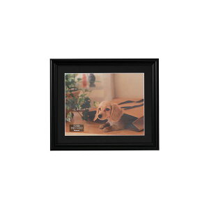 Es (܂Ƃ) ʐ^z Zcؔ ubN F-SP-108-D y×2Zbgz ʏi̓s