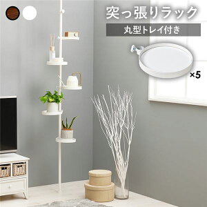 Es ˂胉bN 43cm ی^ 6_Zbg zCg×zCg ˂_ gC×5 X`[t[ gi rOysz ʏi̓s