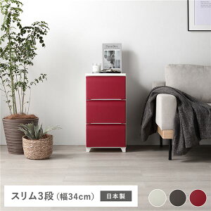 Es ^X X 3i 34cm bh vX`bN rt { zRɂ `FXg ߗގ[ [Ƌ g ʏi̓s