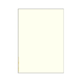 直送・代引不可 ヒサゴ マルチプリンタ帳票複写A4クリーム 100枚入 別商品の同時注文不可