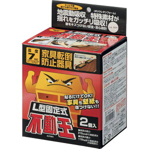 Es@L^Œ莮s FFT-001@ʏi̓s