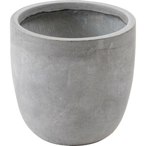 Es Jo[ Aؔ 35cm O[ ꌊ O[x[X t[|bg v^[  ʏi̓s