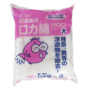 Es i܂Ƃ߁jE[ y×10Zbgz (Ϗ܋/pi) ʏi̓s