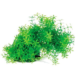 Es i܂Ƃ߁jeg tLVuvg FP-1y×5Zbgz (Ϗ܋/pi) ʏi̓s