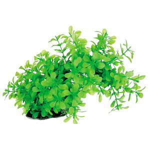 Es i܂Ƃ߁jeg tLVuvg FP-2y×5Zbgz (Ϗ܋/pi) ʏi̓s