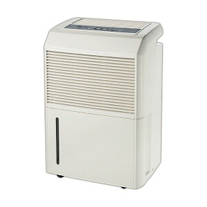 Es iJg~RvbT[@ DM-10 1 ʏi̓s