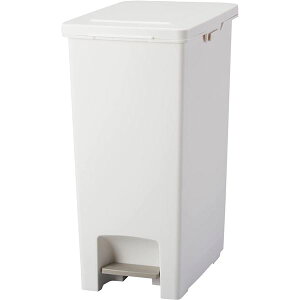 Es AXx Go ASVEL EBAN y_ X 45L zCg ʏi̓s