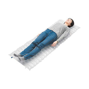 Es pGA[}bg(Ct) 4315-053 ʏi̓s