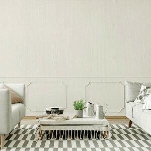 Es y100cmz2.5m CNV[g ǎ V[ ؖڒ CgO[ yCgEbh WL-2703 ʏi̓s