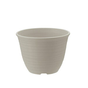 �����E����s�� �y2�Z�b�g�z ���b�`�F�����| �G�R�� �|�b�g 7�� �z���C�g(W) �ʏ��i�̓��������s��