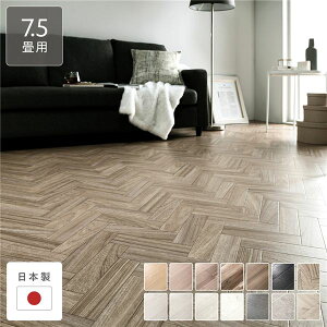 Es NbVtA ]ˊ7.5p 261cm×440cm w{[ { h  R hJr h ؖڕ 󒍐Y ʏi̓s