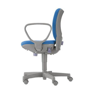 Es@T[NA[ AR-141 O[@ʏi̓s