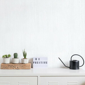 Es y100cmz2.5m CNV[g ǎ V[ ؖڒ zCg yCgEbh WL-2701 ʏi̓s