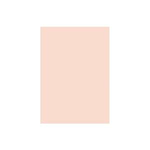 Es(Ɩp2Zbg)剤 ĐFp/Hp yl؂ 100×2Zbgz T[ʏi̓s